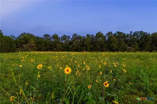 00 County Road 284, Liberty Hill, TX 78642 - Photo 5