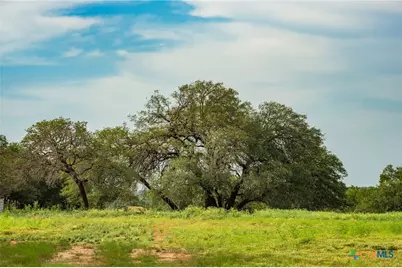 00 County Road 284, Liberty Hill, TX 78642 - Photo 17