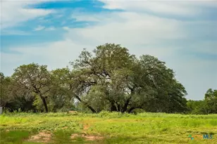 00 County Road 284, Liberty Hill, TX 78642 - Photo 17