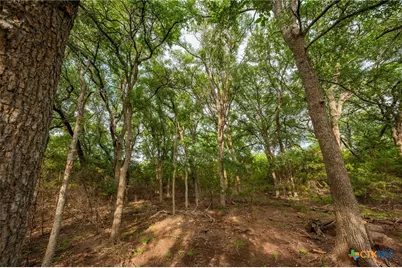 00 County Road 284, Liberty Hill, TX 78642 - Photo 15