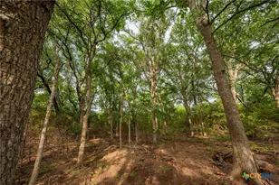 00 County Road 284, Liberty Hill, TX 78642 - Photo 15