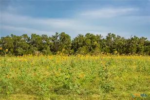 00 County Road 284, Liberty Hill, TX 78642 - Photo 19