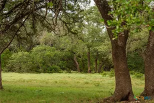00 County Road 284, Liberty Hill, TX 78642 - Photo 11