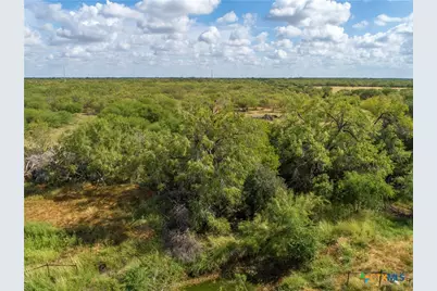 546 Pr Goose Creek Lane, Jourdanton, TX 78026 - Photo 23