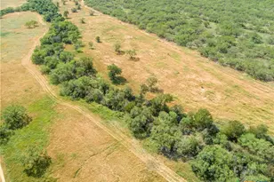 546 PR Goose Creek Ln, Jourdanton, TX 78026 - Photo 7