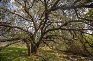 546 PR Goose Creek Ln, Jourdanton, TX 78026 - Photo 11