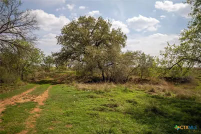 546 Pr Goose Creek Lane, Jourdanton, TX 78026 - Photo 41