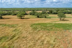 546 PR Goose Creek Ln, Jourdanton, TX 78026 - Photo 15