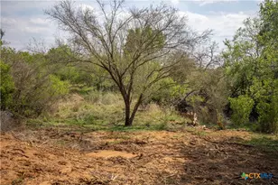 546 PR Goose Creek Ln, Jourdanton, TX 78026 - Photo 35