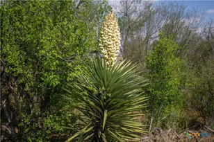 546 PR Goose Creek Ln, Jourdanton, TX 78026 - Photo 31