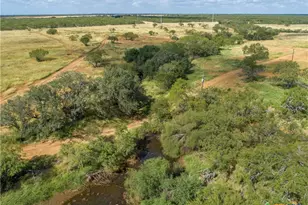 546 PR Goose Creek Ln, Jourdanton, TX 78026 - Photo 9