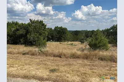 339 Valley Lodge, New Braunfels, TX 78132 - Photo 3