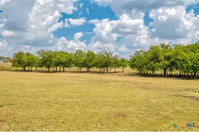 1250 County Road 311, Jarrell, TX 76537 - Photo 21