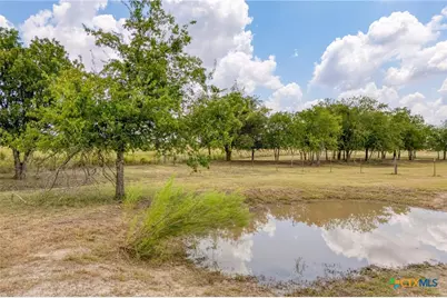 1250 County Road 311, Jarrell, TX 76537 - Photo 19