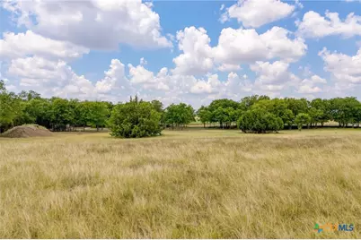 1250 County Road 311, Jarrell, TX 76537 - Photo 13