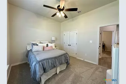 226 Sand Lilly Drive, Temple, TX 76502 - Photo 19