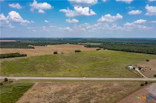Tbd Refugio Hwy Hwy, Victoria, TX 77905 - Photo 1