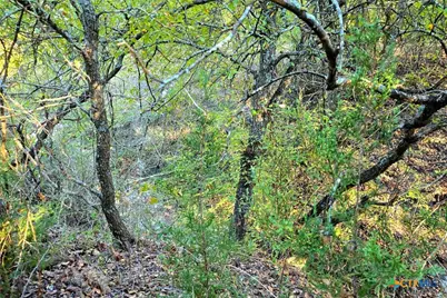 5684 Lindemann Road, Bartlett, TX 76511 - Photo 33