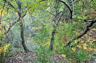 5684 Lindemann Rd, Bartlett, TX 76511 - Photo 33