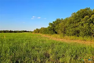 5684 Lindemann Rd, Bartlett, TX 76511 - Photo 35
