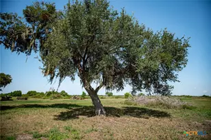 715 Haeber Ln, Tivoli, TX 77990 - Photo 7