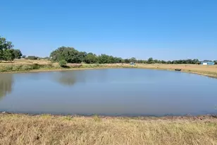1167 Co Rd 380, Hallettsville, TX 77964 - Photo 3