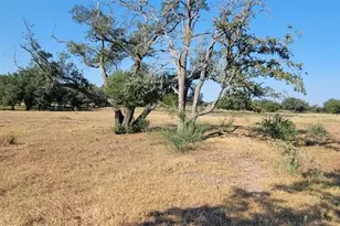 1167 Co Rd 380, Hallettsville, TX 77964 - Photo 17
