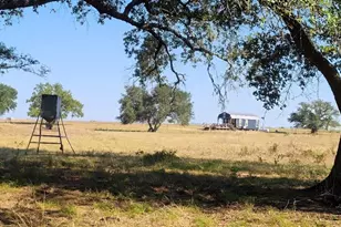 1167 Co Rd 380, Hallettsville, TX 77964 - Photo 5