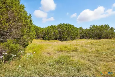 186 Becky Lane, Bertram, TX 78605 - Photo 3