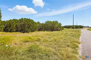 186 Becky Ln, Bertram, TX 78605 - Photo 1