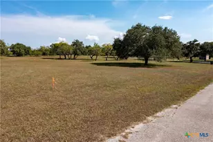 43 Twin Lakes Cir, Victoria, TX 77905 - Photo 41