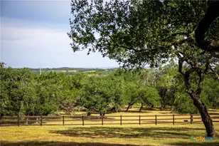 1945 Hoffmann Ln, New Braunfels, TX 78132 - Photo 9