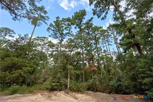 128 Barras Rd, Paige, TX 78659 - Photo 3