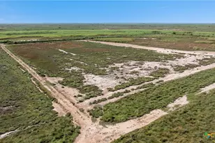 000 Sh 316 105 0 Acres, Port Lavaca, TX 77979 - Photo 9