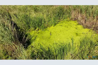 000 Sh 316 105.0 Acres, Port Lavaca, TX 77979 - Photo 15