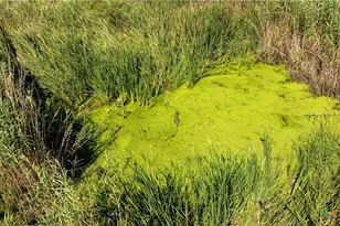 000 Sh 316 105 0 Acres, Port Lavaca, TX 77979 - Photo 15