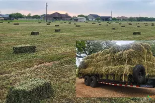 847 Oliver Rd, Victoria, TX 77904 - Photo 31