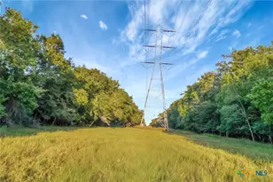 2698 Co Rd 284, Edna, TX 77957 - Photo 19