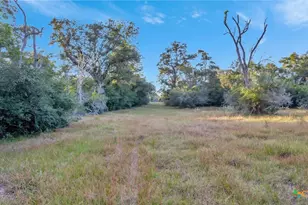 2698 Co Rd 284, Edna, TX 77957 - Photo 11