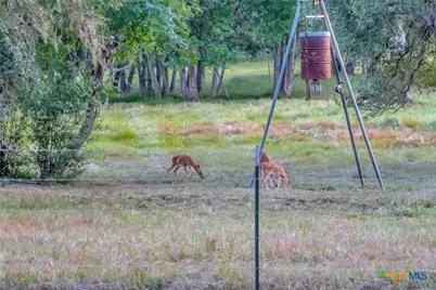 2698 County Road 284, Edna, TX 77957 - Photo 15