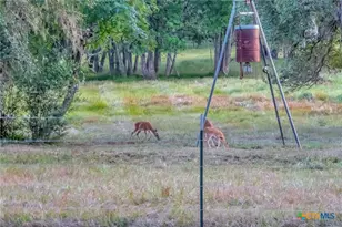 2698 Co Rd 284, Edna, TX 77957 - Photo 15