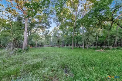 2698 County Road 284, Edna, TX 77957 - Photo 13