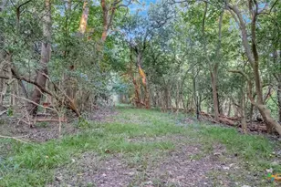 2698 Co Rd 284, Edna, TX 77957 - Photo 17