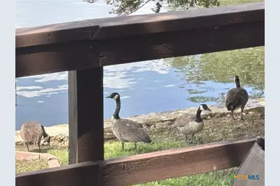 104 County Road 138B, Burnet, TX 78611 - Photo 31