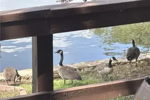 104 County Rd 138B, Burnet, TX 78611 - Photo 31