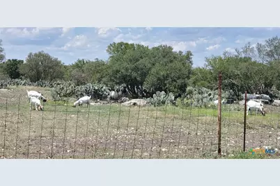 1860 Rocky Ridge Road, Uvalde, TX 78801 - Photo 19