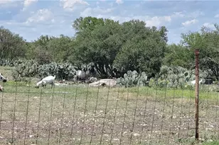 1860 Rocky Ridge Rd, Uvalde, TX 78801 - Photo 19