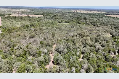 Tbd Rosanky Road, Flatonia, TX 78941 - Photo 21