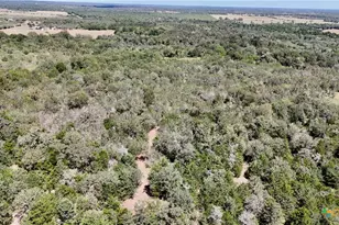 Tbd Rosanky Rd, Flatonia, TX 78941 - Photo 21