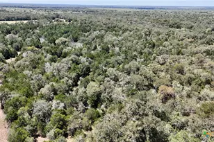 Tbd Rosanky Rd, Flatonia, TX 78941 - Photo 19